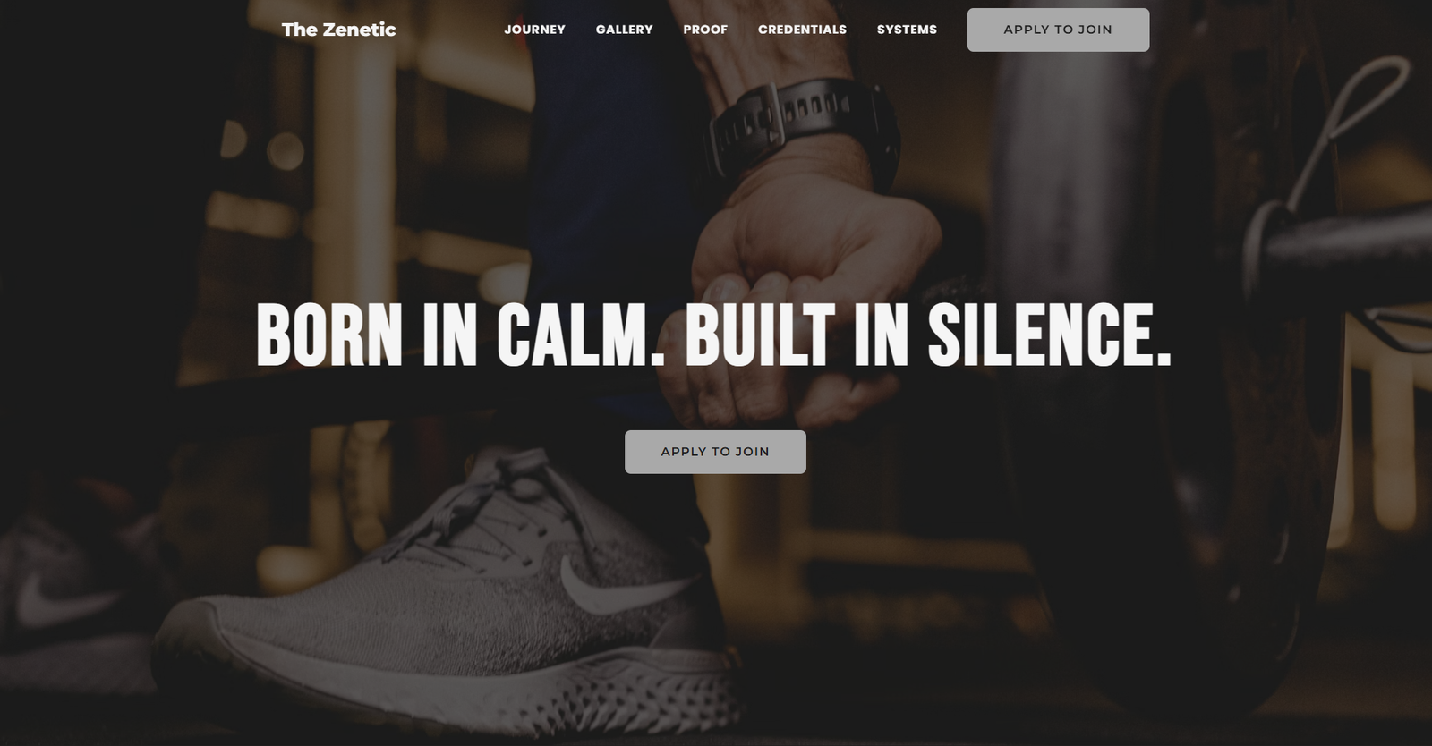 The Zenetics website redesign